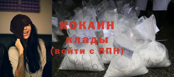 прущие грибы Аркадак