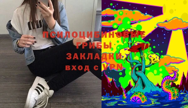 прущие грибы Аркадак