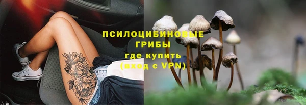 a pvp Армянск