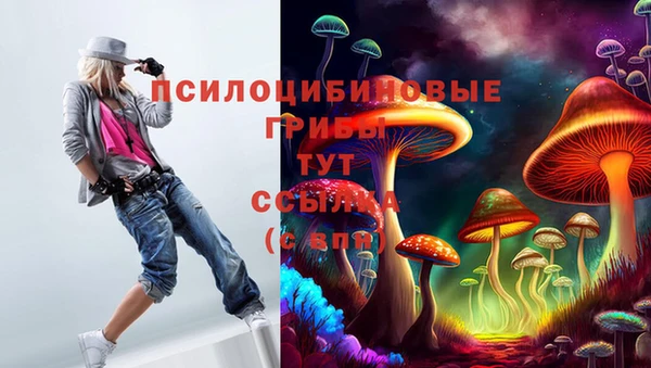 твердый Алзамай