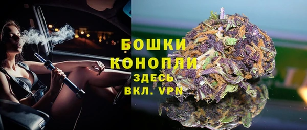 прущие грибы Аркадак