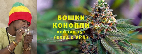 прущие грибы Аркадак