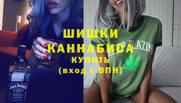 прущие грибы Аркадак