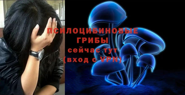 прущие грибы Аркадак