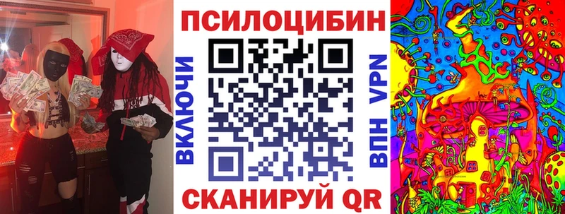 Псилоцибиновые грибы Cubensis Чудово